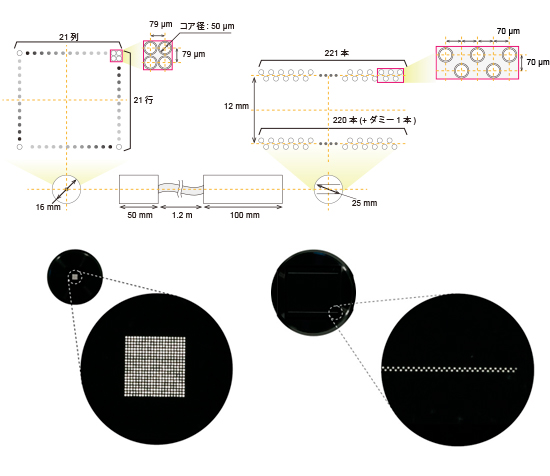 2次元多共焦点ラマン顕微鏡の製作のために開発したバンドルファイバー