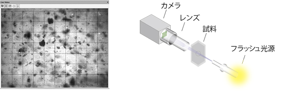 画像解析法