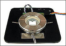 FCS3
