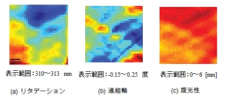 位相差フィルムの直線、円複屈折測定例