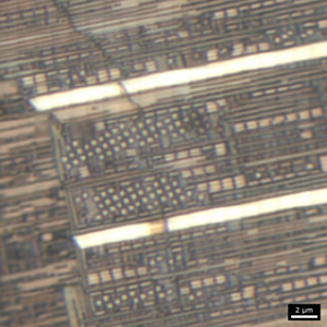 NANORO(SMAL):20×20μmスキャン NANORO(SMAL):20×20μmスキャン