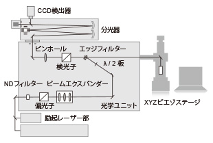 自由度の高いラマン光検出レイアウト
