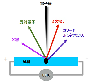 カソードルミネッセンス(CL)図