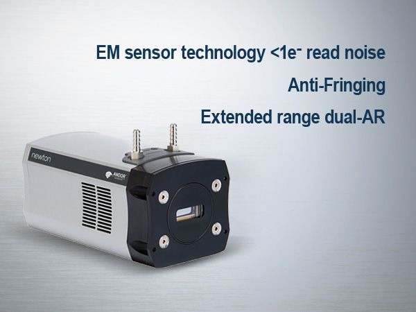 Cooling CCD/EMCCD Detector Newton for High Sensitivity Spectroscopy