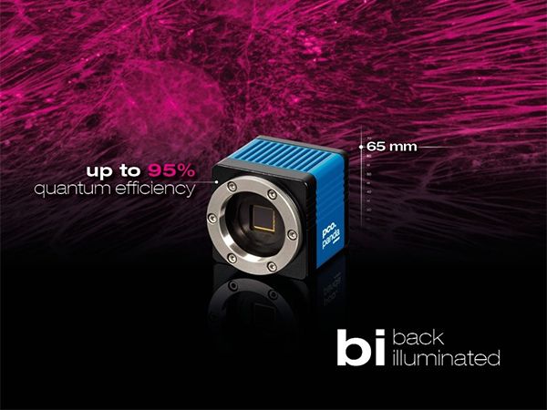 Ultra compact Low price 16bit sCMOS camera pco.panda