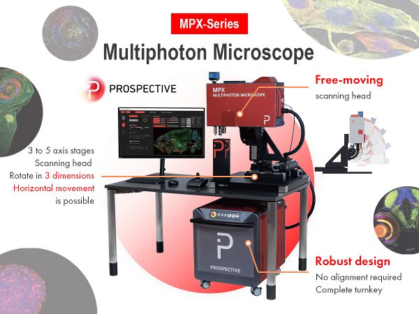 MPX-SERIES MULTI-PHOTON MICROSCOPES
