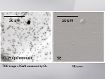 TDD image of GaN measured by CL (left) and SE scan (right)