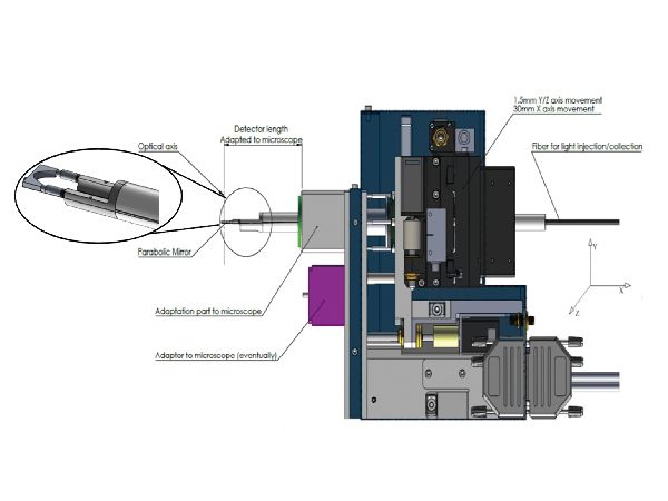 High throughput and high efficiency Cathodoluminescence for STEM