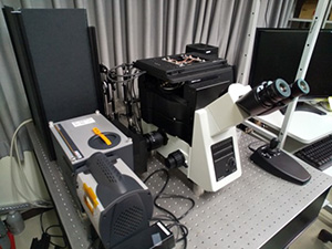 倒立顕微鏡と分光器(Shamrock)