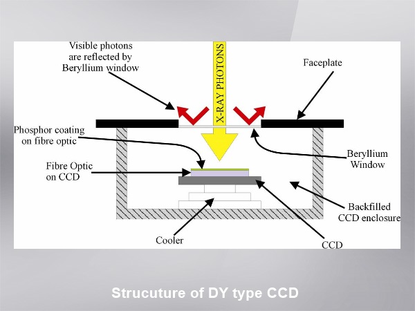 X線用冷却CCD検出器,構造