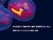細胞観察用ホログラフィック顕微鏡 3D Cell Explorer 細胞観察用ホログラフィック顕微鏡 3D Cell Explorer