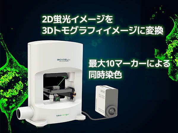 TOKYO INSTRUMENTS,INC. 株式会社東京インスツルメンツ細胞観察用ホログラフィック・蛍光顕微鏡 3D Cell Explorer-fluo 屈折率イメージングと蛍光イメージのオーバーレイによる相関比較3D Cell Explorerの蛍光イメージング付モデル