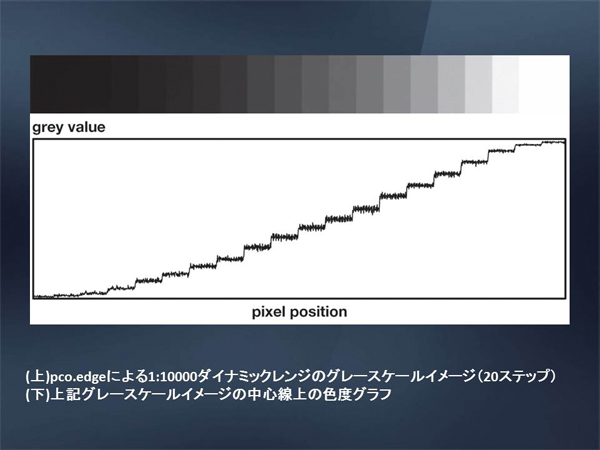 ダイナミックレンジ