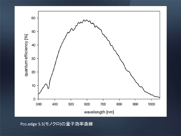 量子効率曲線 (pco.edge5.5)