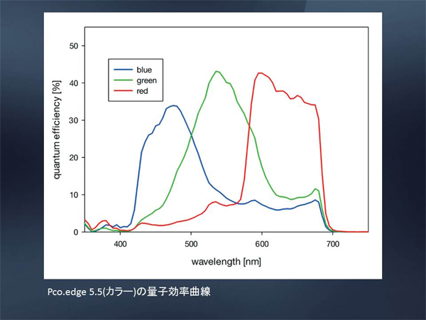 量子効率曲線 (pco.edge5.5カラー)