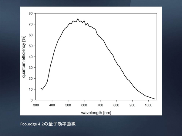 量子効率曲線 (pco.edge4.2)