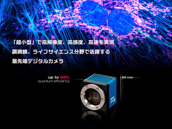超小型･低価格16bit sCMOS カメラ　pco.panda