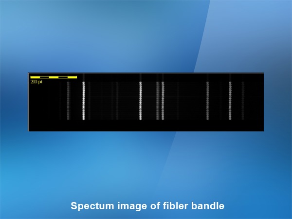 バンドルファイバー入射によるスペクトルイメージ