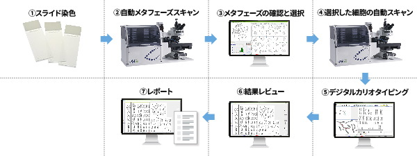 CytoPower ワークフロー