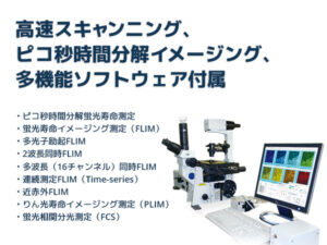 蛍光寿命イメージング測定システム