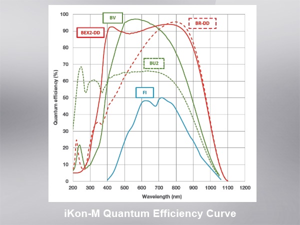 量子効率曲線