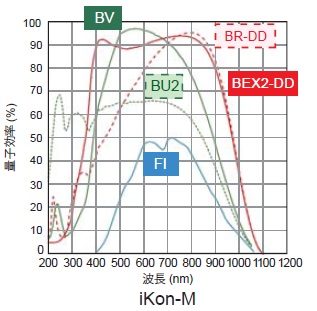 iKon-M量子効率曲線
