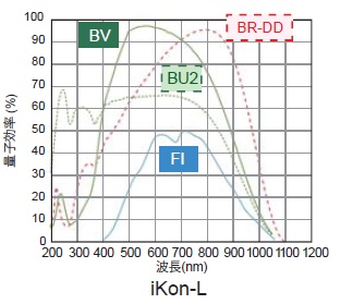 iKon-L量子効率曲線