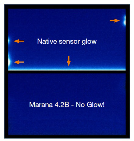 Marana Anti-Glow技術